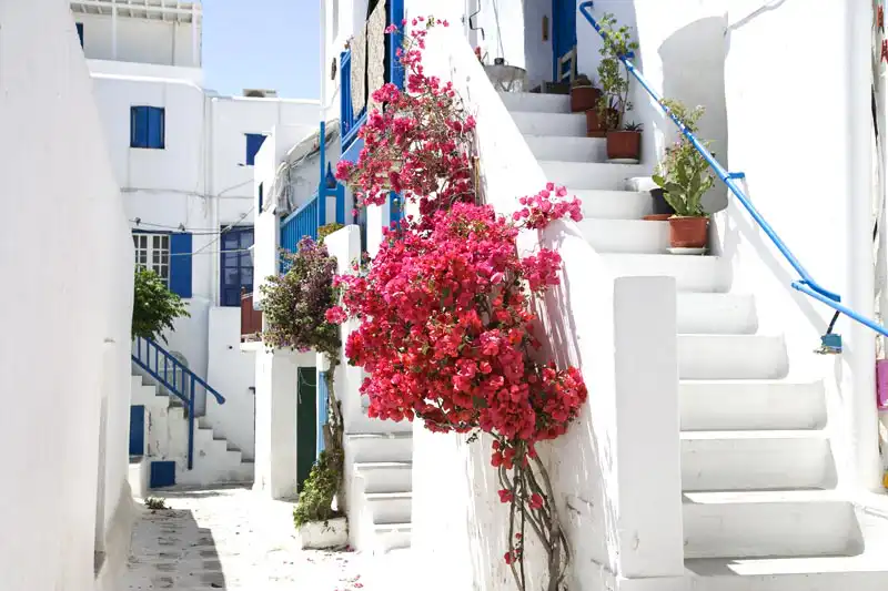 Mykonos In Spring